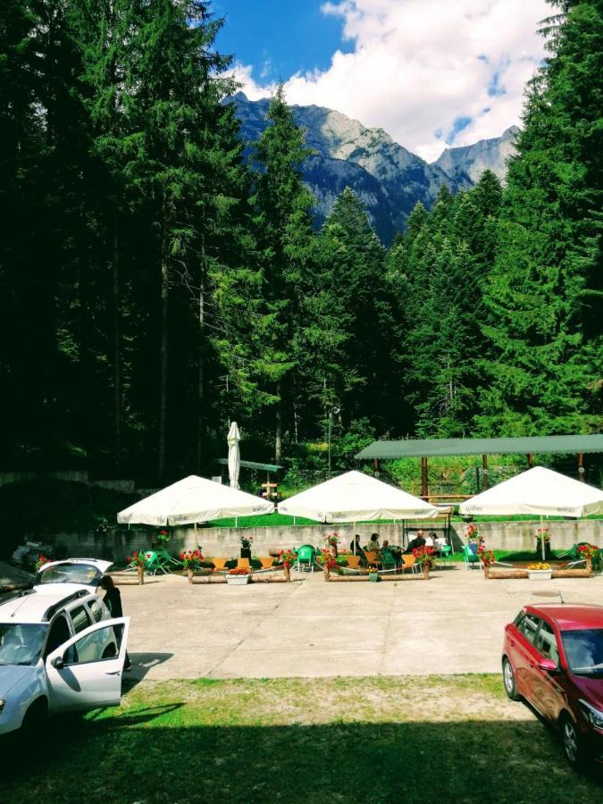 Hostel Cppi Vest Буштені Екстер'єр фото